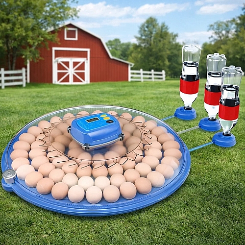 Інкубатор автоматичний на 80 яєць Vertis (220/12В) з цифровим контроллером