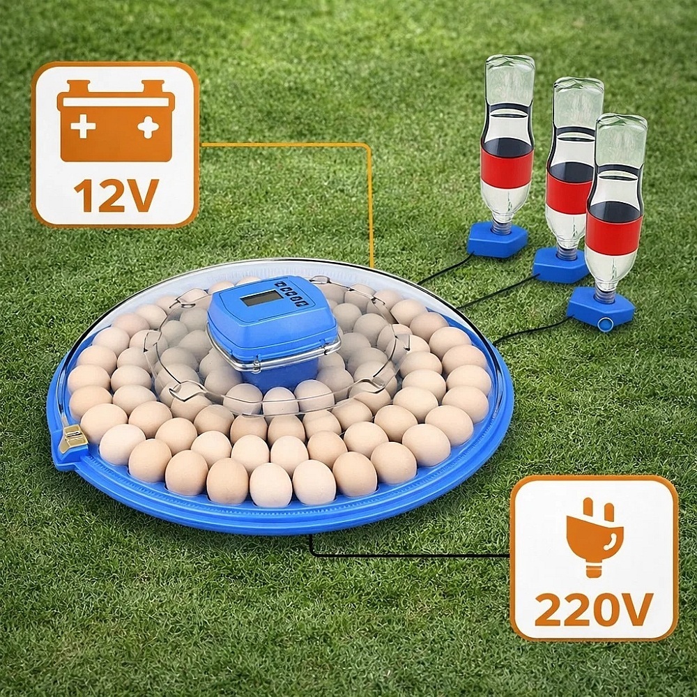 220В/12В Інкубатор автоматичний на 80 яєць Vertis Dualmotor з цифровим контроллером