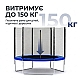 Батут стрибковий дитячий SkyJump 312 см + захисна сітка, 10 футів Синій