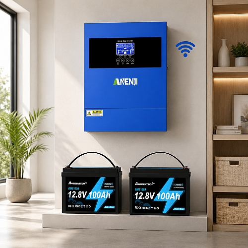 4,2 кВт LiFePO4 Комплект резервного живлення Інвертор Anenji WiFi + 2 акумулятора 12V 100Ah Ameisentech для квартири, будинку