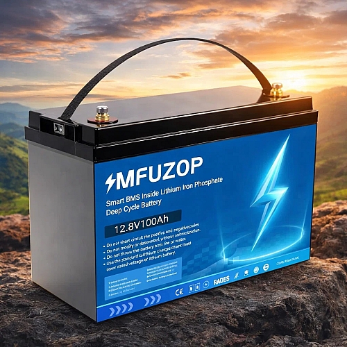 LiFePO4 12V 100Ah Акумулятор MFUZOP 1280Wh, 100A, BMS