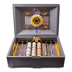 Інкубатори