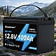 LiFePO4 12V 100Ah Акумулятор Ameisentech, BMS, 1280Wh