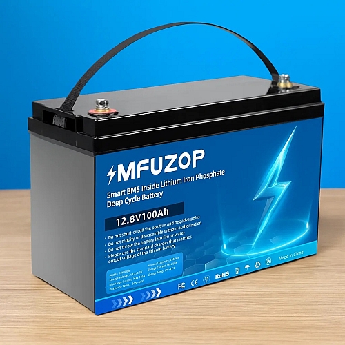 LiFePO4 12V 100Ah Акумулятор MFUZOP 1280Wh, 100A, BMS