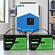 3 кВт LiFePO4 Комплект резервного живлення Інвертор Easun Power + 2 акумулятора 12V 100Ah Datouboss