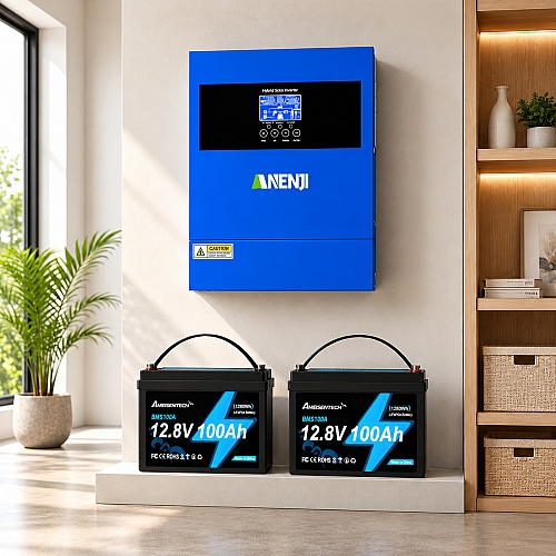 4,2 кВт LiFePO4 Комплект резервного живлення Інвертор Anenji WiFi + 2 акумулятора 12V 100Ah Ameisentech для квартири, будинку