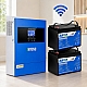 4,2 кВт LiFePO4 Комплект резервного живлення Інвертор Anenji WiFi + 2 акумулятора 12V 100Ah Easun Power для квартири, будинку
