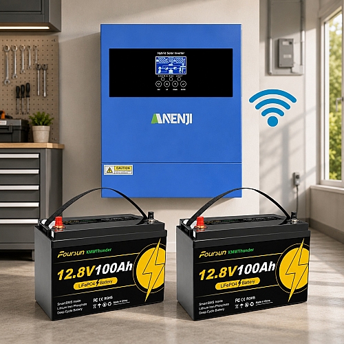 4.2 кВт LiFePO4 Комплект резервного живлення Інвертор Anenji WiFi 24 В + 2 акумулятора 12V 100Ah Foursun