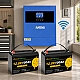 4.2 кВт LiFePO4 Комплект резервного живлення Інвертор Anenji WiFi 24 В + 2 акумулятора 12V 100Ah Foursun