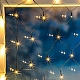 Світлодіодна гірлянда-сітка LightZone 160 LED 3.2х1.5 м. янтарне світло