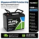 LiFePO4 12V 100Ah Акумулятор Yulongne 1280Wh, 100A, BMS, з ручками для транспортування