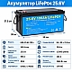 LiFePO4 24V/100Ah Акумулятор Daxtromn з BMS 100 А для систем резервного живлення
