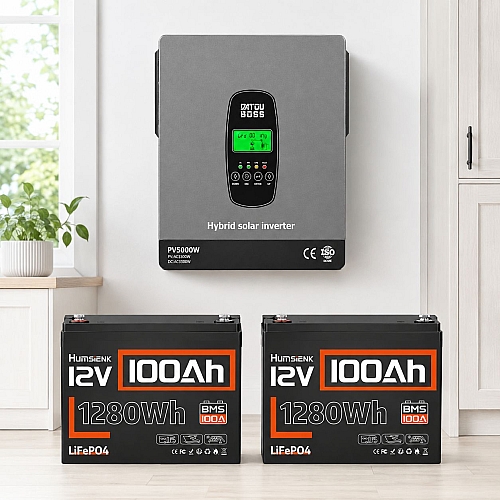 3 кВт LiFePO4 Комплект резервного живлення Інвертор Datouboss 24 В + 2 акумулятора 12V/100Ah Humsienk