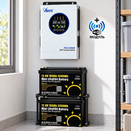 4,0 кВт LiFePO4 Комплект резервного живлення інвертор Anern Wi-Fi + 2 Акумулятори 12V/100Ah GoKWh Mini для будинку, квартири